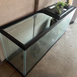 70 Gallon Tank