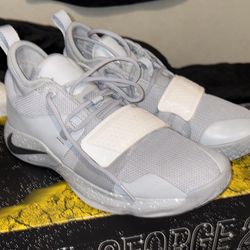 Nike PG 2.5 TB Wolf Grey/White Basketball Sneakers Men's 2018