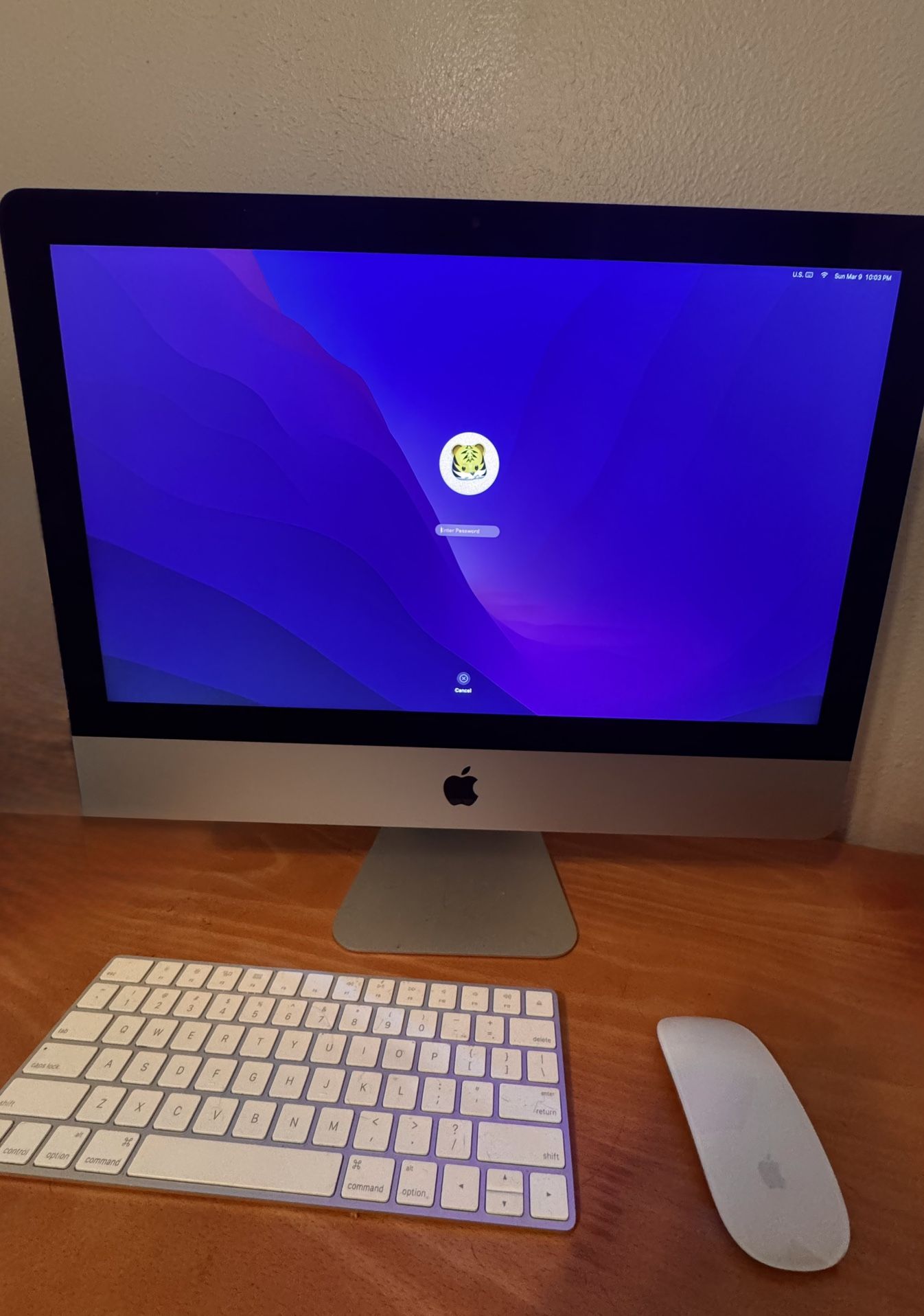 iMac (21.5-inch, Late 2015)