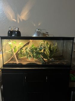 Reptile/ Aquarium