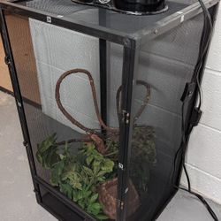 Open Air Chameleon Cage w/ Various Decor 