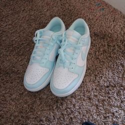 Nike Baby Blue Dunks 