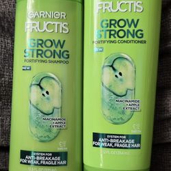 Garnier Fructis Shampoo & Conditioner Pair