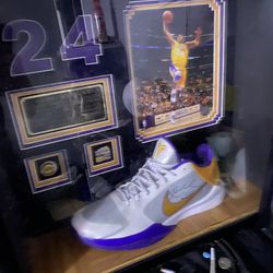 Authentic Kobe Bryant Shoe A Piece Of Game Floor N Pins In A Case 