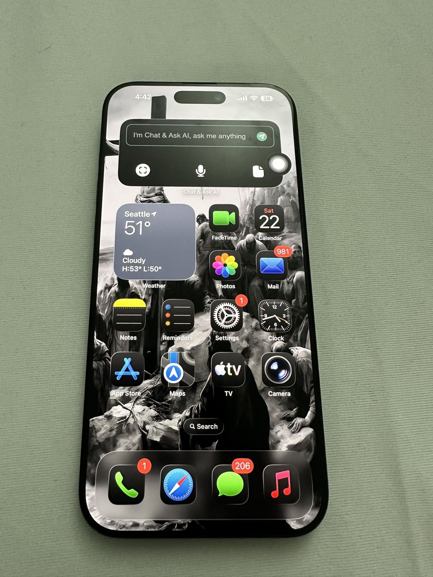 iPhone 16 Pro Max unlocked