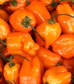 Habaneros