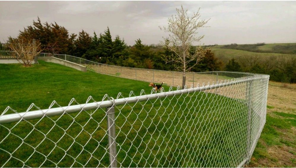 Chain Link 6 X 50 Ft $1.50 Per Ft