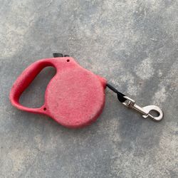 Retractable dog leash, does not come with Shih Tzu