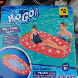 3 New Pool toys.