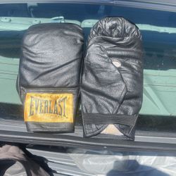 Everlast Boxing Gloves