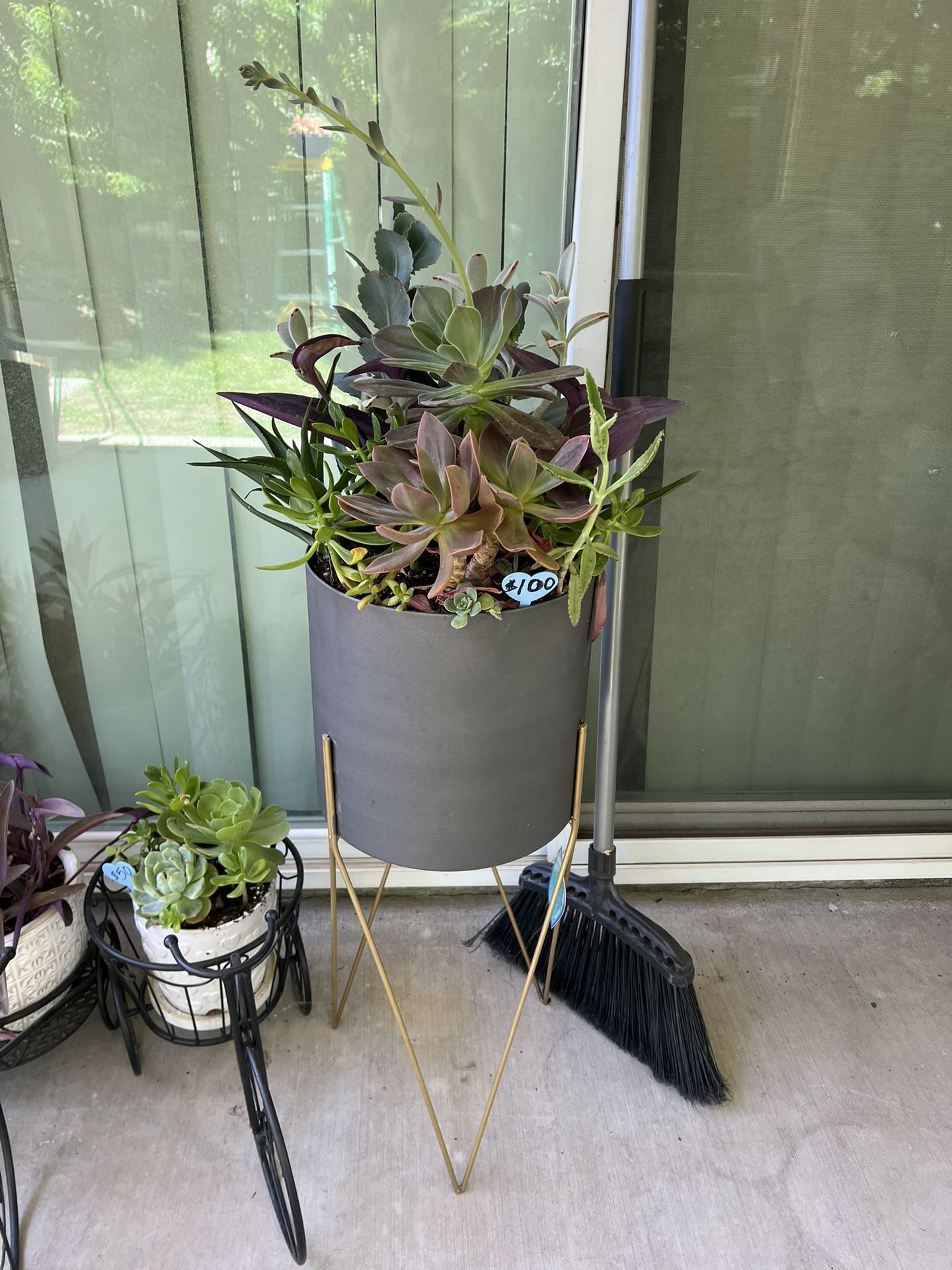 Large Beautiful Succulent Planter
