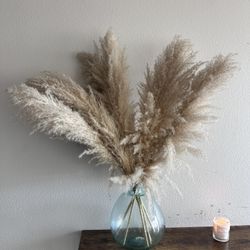 Pampas Grass With Vase