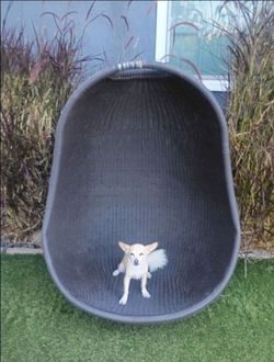 Outdoor Swing - Pod - Egg - Chair - Coated Wicker 38" X 48" T X 28" D