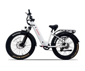 E-bike USA Aggressor