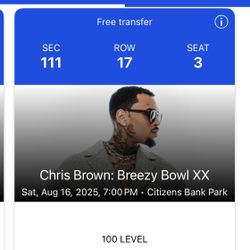CHRIS BROWN CONCERT TICKET 