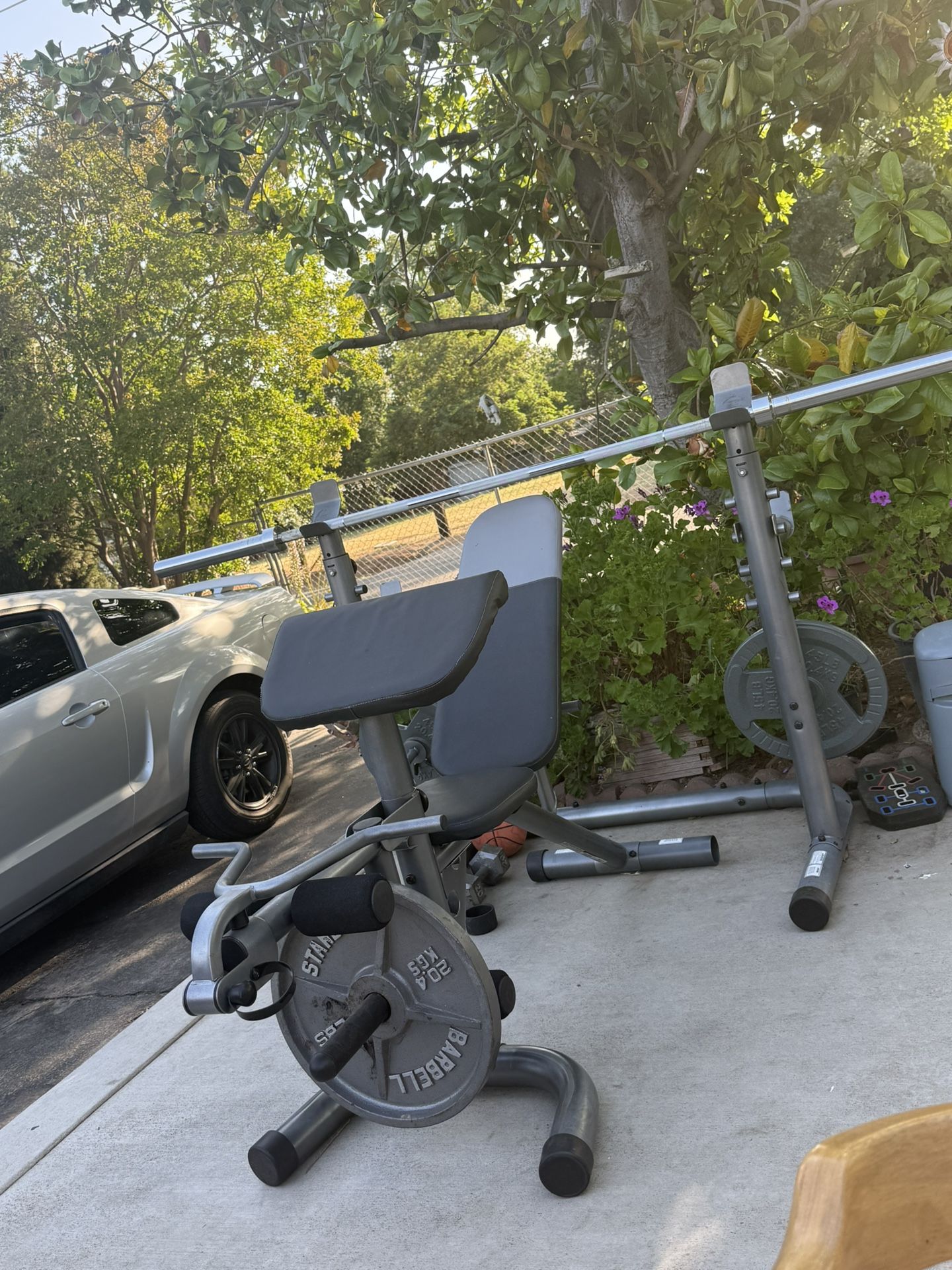 Weight Bench And Weights