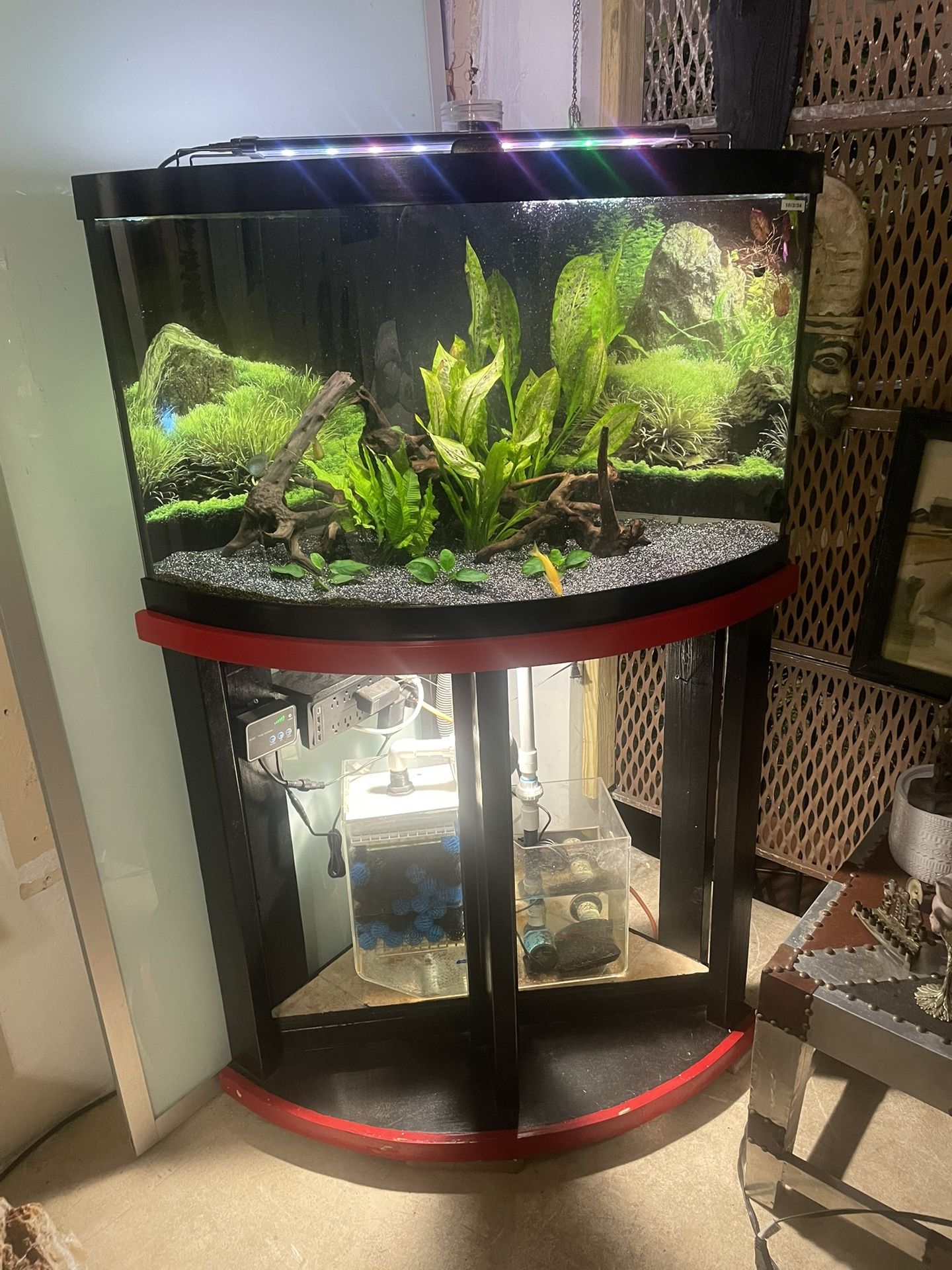 60 Gallon Corner Bow Front