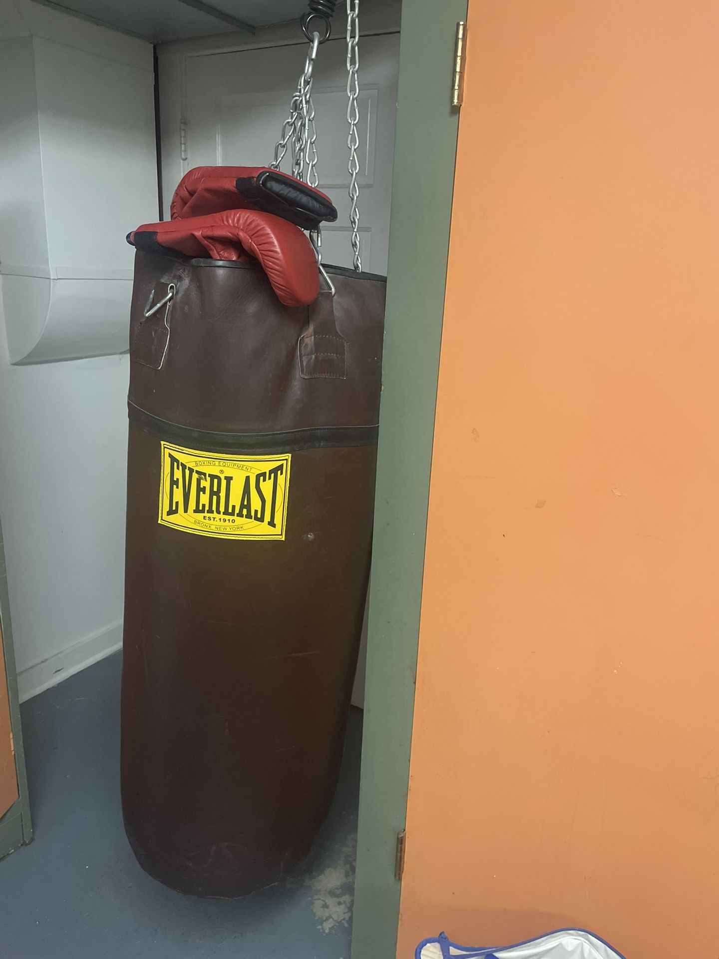 Punching Bag and Boxing Gloves