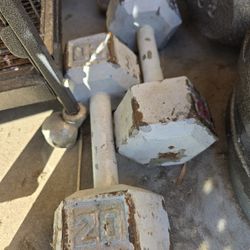 20lb Hand Weights
