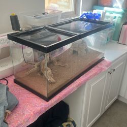 reptile tank with decor 