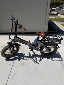 Electic Bike  DBL Batteries