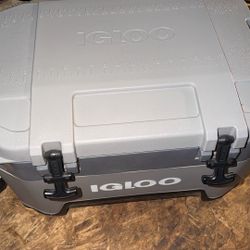 Igloo Cooler