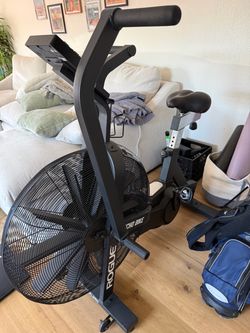 Rogue Echo Bike Air Assault Bike