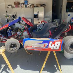 F1 Tony Kart Kx125 Engine 