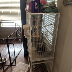 Bird Cage