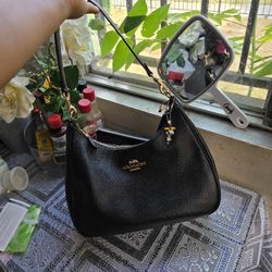 Coach Teri Hobo Bag
