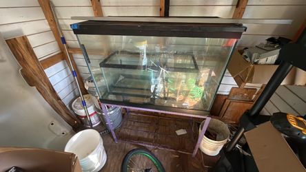 70 gallon fish tank