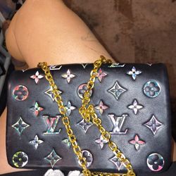 Louie Vetton  Purse  ! Best Offer!!!!