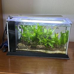 All In One Fish Tank