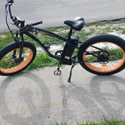 Electric Bike