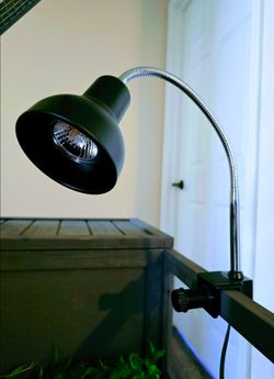 Heat Lamp