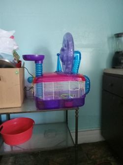 Hamster Cage