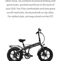 E Lux Sierra Electric Bike