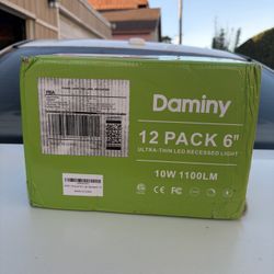 Daminy 12 Pack 6”