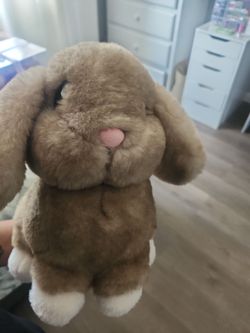 Stuffed animal bunny