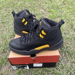 Jordan 12 