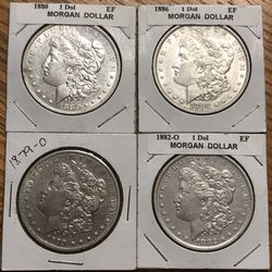 Four silver Morgan Dollars 
