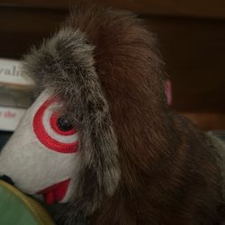 Eskimo Target 🎯 Dog 