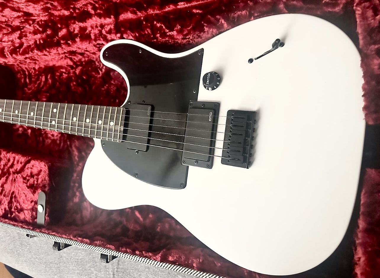 Fender Jim Root Tele $1200