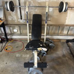 Weights And Bench