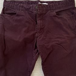 Calvin Klein Merlot Chinos
