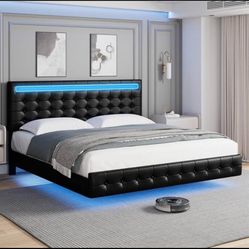 Bed Frame 