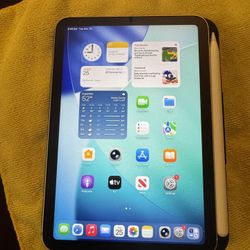 iPad Mini 6 Generation Starlight 256 Gb WiFi + Cellular Fully Unlocked For All Carriers 