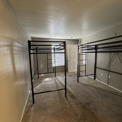 Loft Bunk Beds