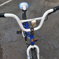 Little Kid Bike 