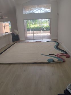 Big elegant rug